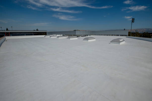 Best Sheet Metal Roofing  in Adamstown, MD
