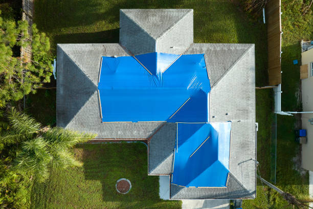Best Steel Roofing  in Adamstown, MD